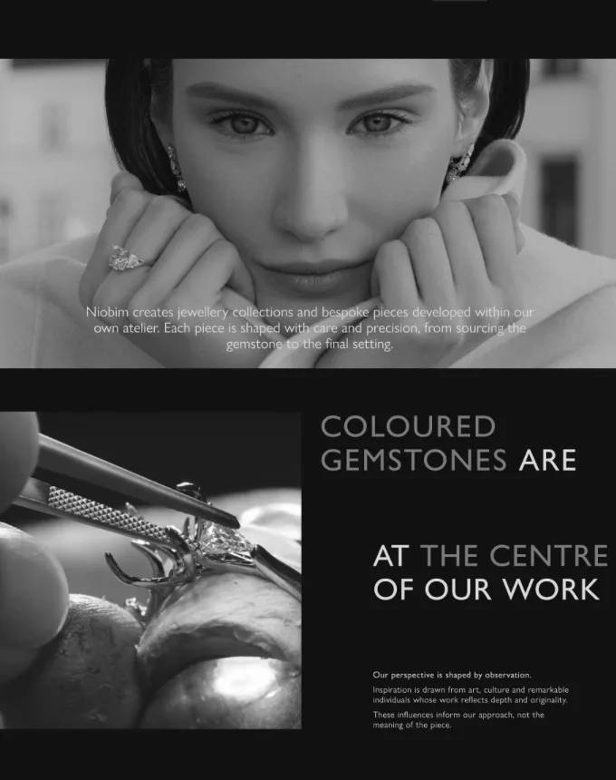 Luxury brand identity case preview